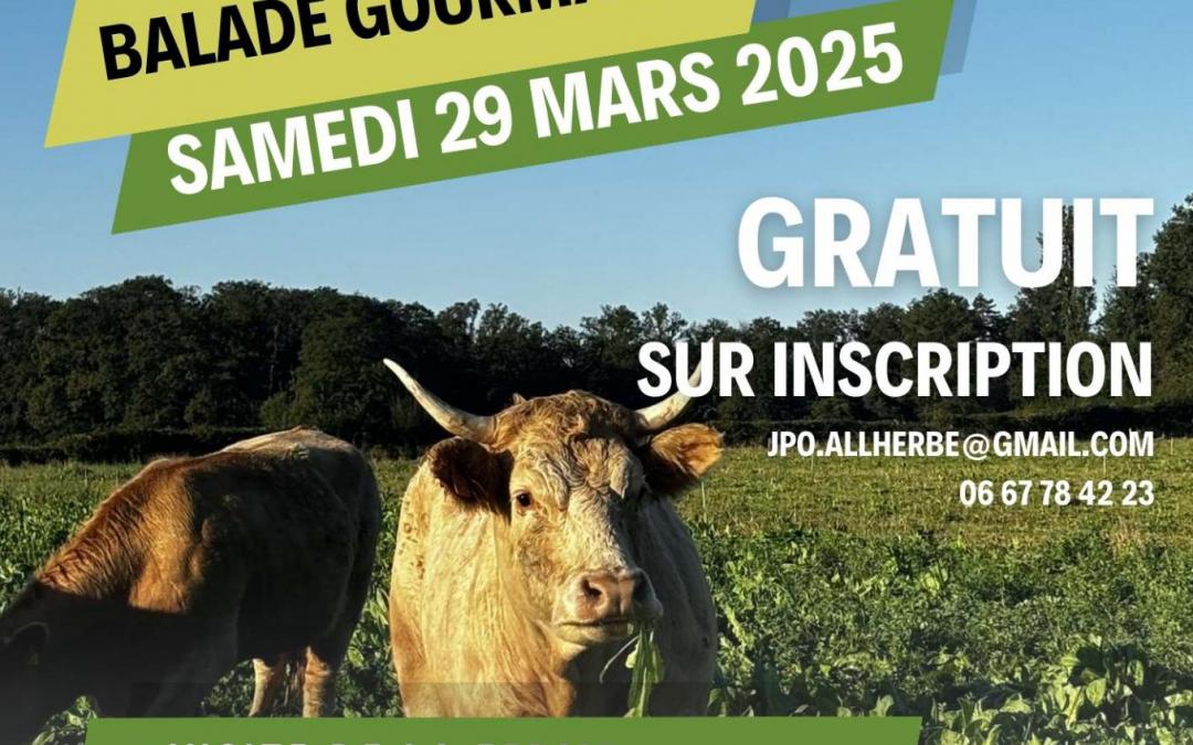 Balade gourmande All&rsquo;Herbe