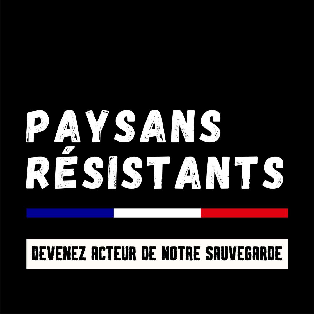 Logo LMtv, Le Mans Télévision Sarthe