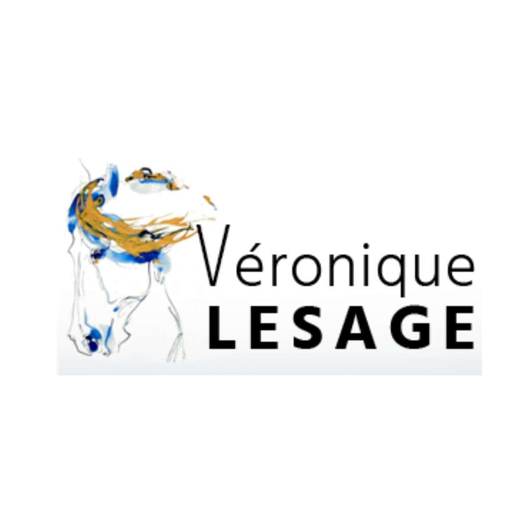 Logo LMtv, Le Mans Télévision Sarthe