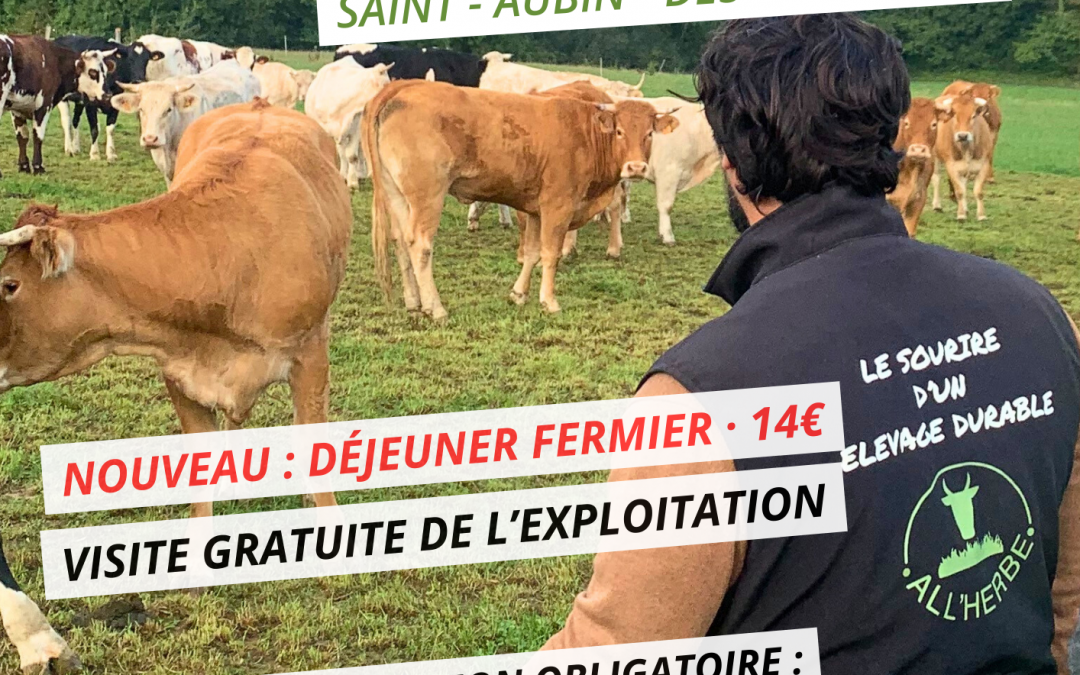 Escapade Gourmande ALL&rsquo;HERBE