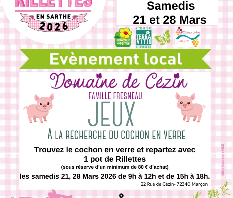 A la recherche du cochon en verre et dégustation Vins-Rillettes